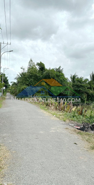 Bán 5ha đất đường xương cá xã phong phú h.bình chánh
