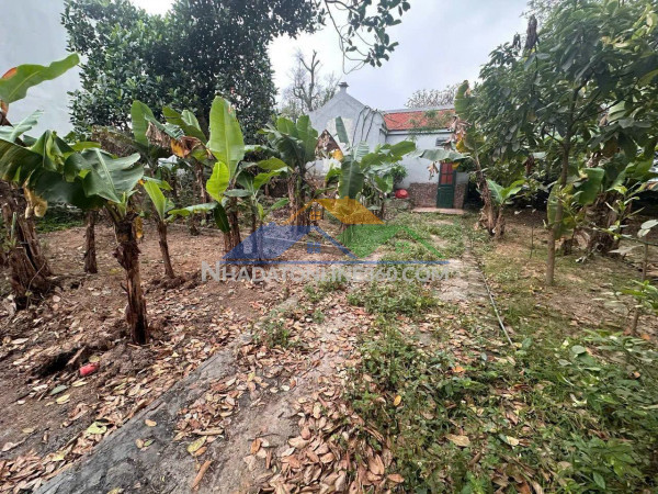Chỉ với 3.x tỷ xíu. 75m2, mt6.9m, nguyên khê, đông anh.
+ ngõ nông, đường thoáng, lại thông.