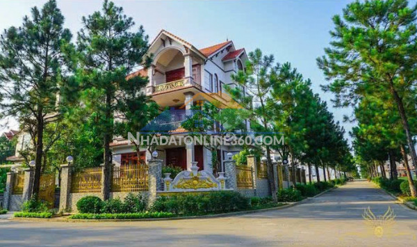 Chính chủ bán nhà mới mặt tiền 4 tầng đường cao xuân dục (phú định), quận 8 - kinh doanh tốt