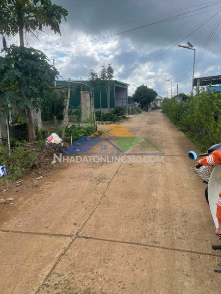 Bán đất 502m2 xã tân hội đức trọng lâm đồng giá rè nhất khu vực 1 tỷ 500 triệu