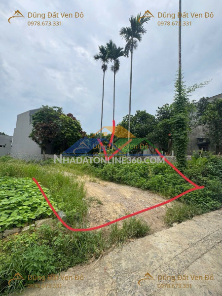 156m xuân thủy-thủy xuân tiên-chương mỹ-hà nội