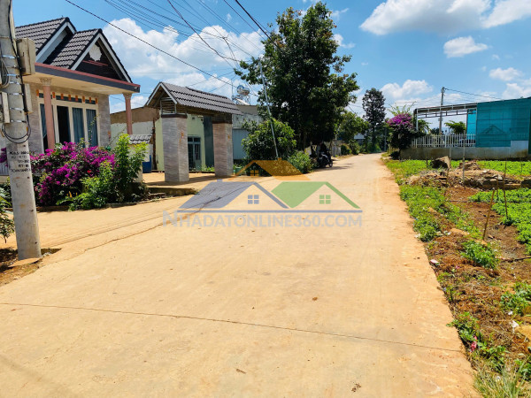 Bán đất 216m2 liên hiệp - đức trọng - lâm đồng giá 2 tỷ