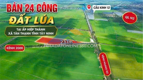 Đất đẹp – đầu tư sinh lời – cần bán 3 lô đất giá tốt – ấp hiệp thành, xã tân thạnh, tây ninh