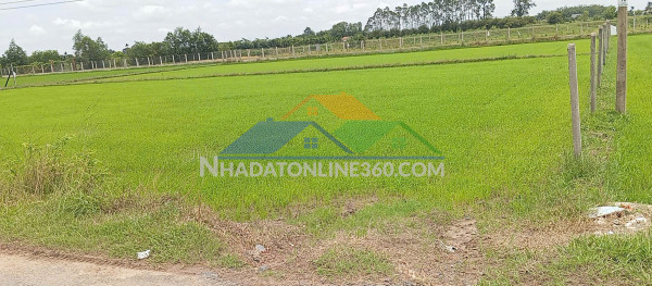 Chính chủ cần bán lô đất đẹp tại ấp an đước – xã an tịnh – trảng bàng, tây ninh
