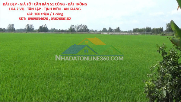 Đất đẹp - giá tốt cần bán 51 công - đất trồng lúa 2...