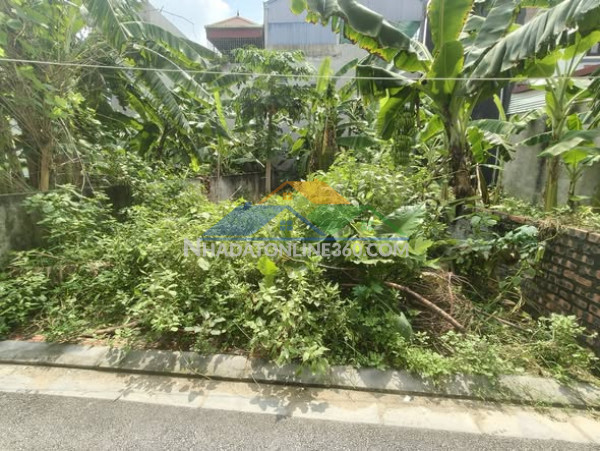 Ngay ql3, tầm 10m, lô 85m2, mt5m, 5.x tỷ, nguyên khê, đông anh.