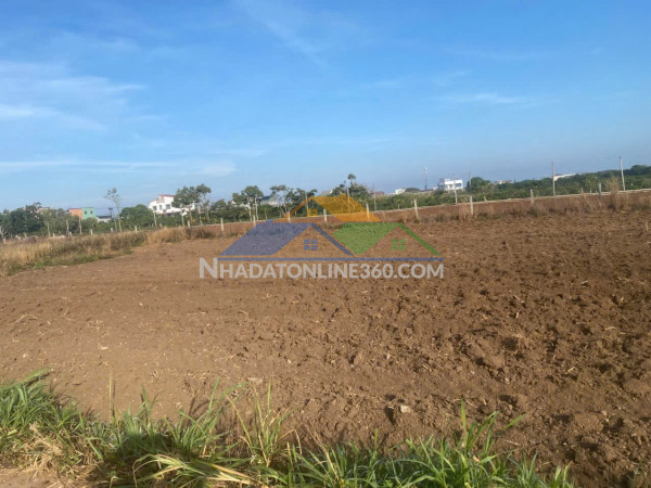 Đất đẹp - giá tốt - chính chủ cần bán 4 lô liền kề xã tân...