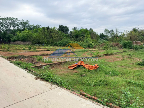 Em dũng land đang bán đất đẹp thắng hữu, kim anh, hà nội - nhiều lựa chọn chỉ từ hơn 2 tỷ đồng