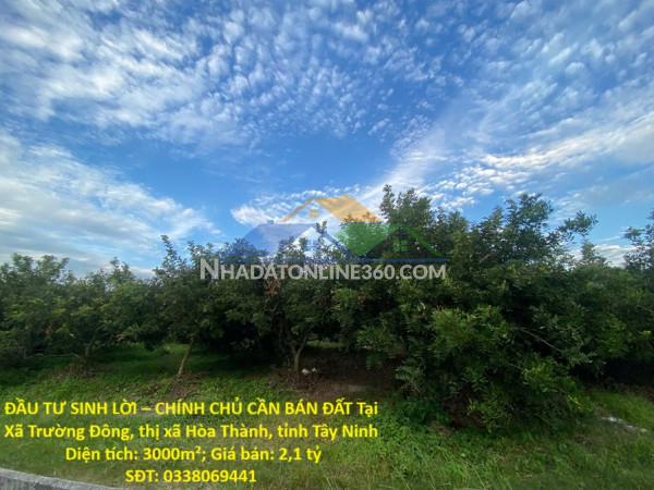 Đầu tư sinh lời – chính chủ cần bán đất tại  xã trường đông, thị xã hòa thành, tỉnh tây ninh