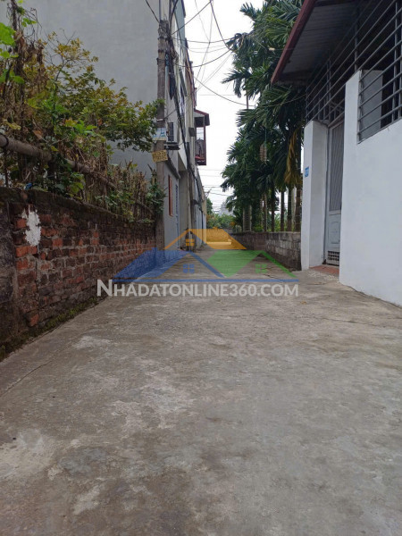 ???? BÁN LÔ ĐẤT ĐẸP NGÕ 65A LÊ VIẾT HƯNG – PHƯỜNG HẢI DƯƠNG, TP HẢI PHÒNG ????