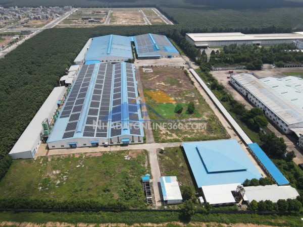 Xt113 cho thuê xưởng lớn với hạng trạng đẹp hạ tầng hiện...