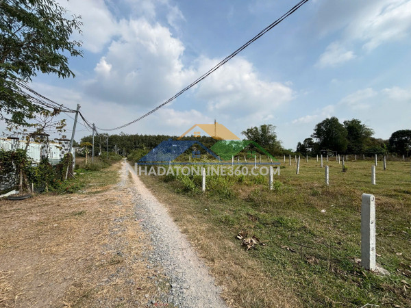 Bán đất full thổ cư 576m² – sát vinhomes hậu nghĩa, đức hòa, long an