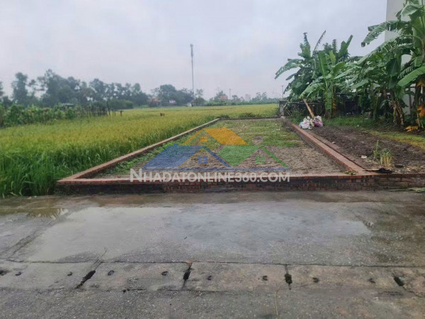 Đất giãn dân thụy lâm, 150m2, mt6.5m, 8.99 tỷ, 2 ô tô tránh, hai mặt ngõ, đông anh