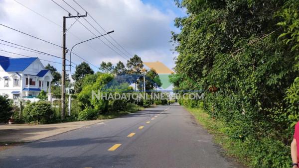 Đất đẹp- giá tốt bán nhanh 2 lô đất đầu tư là sinh lời tại huyện bàu bàng, bình dượng