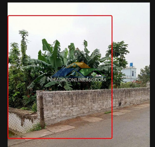 Đất chính chủ - lô góc mặt tiền 8m - thôn an ấp, xã an ấp, huyện quỳnh phụ - tỉnh thái bình