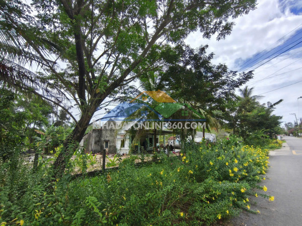 Cần bán đất thôn thượng thanh, tam thanh, tam kỳ tỉnh quảng nam