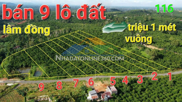 Hot hot – chính chủ cần bán 9 lô đất view đồi tại thôn đông...