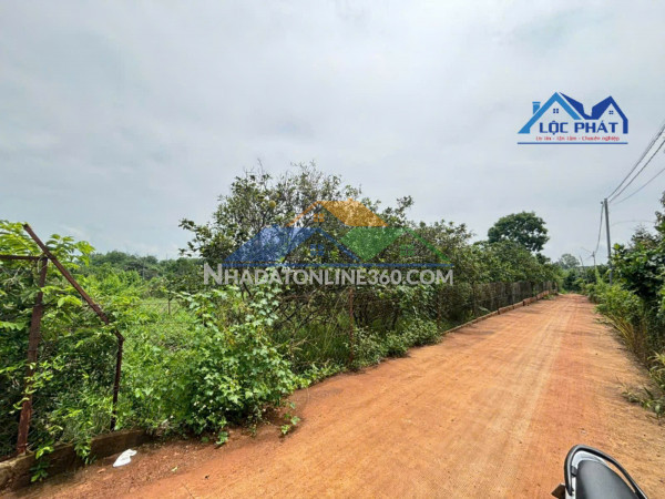 BÁN ĐẤT VƯỜN XÃ PHÚ CƯỜNG – HUYỆN ĐỊNH QUÁN – ĐỒNG NAI