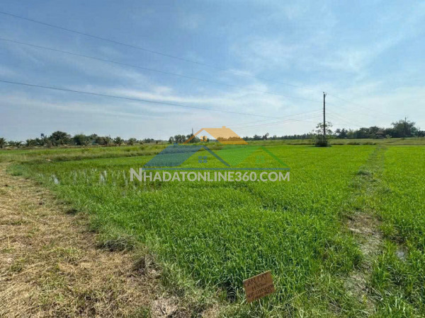 Cơ hội đầu tư giá tốt - chính chủ bán gấp lô đất trồng lúa xã bình thành, đức huệ, long an