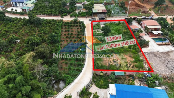 Bán đất đường phan chu trinh phường lâm viên - đà lạt