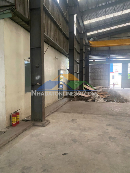 42. cho thuê bãi đã san lấp, thảm base, nền cao, không lụt kv k9 đình vũ, đông hải, hải an, hp
