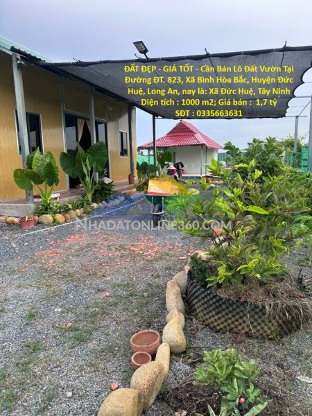 Đất đẹp - giá tốt - cần bán lô đất vườn tại đường đt. 823, xã bình hòa bắc, huyện đức huệ, long an.