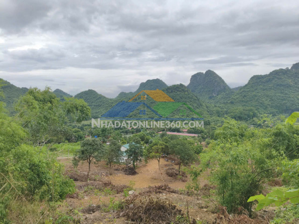 Bán đất khu du lịch quèn thờ – tam điệp, ninh bình