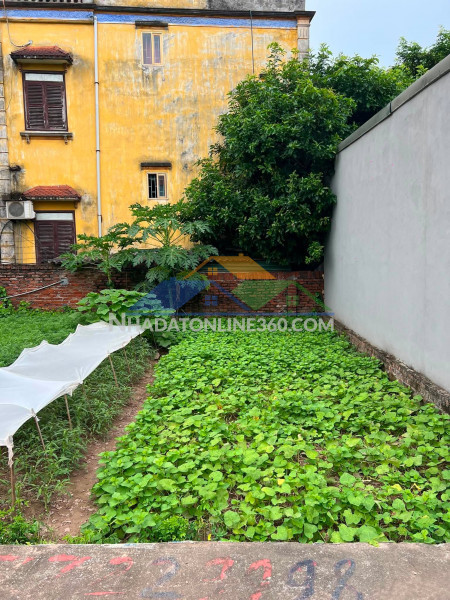 Hàng hiếm lệ chi – thuận an  44,6m²  mt 5,2m  ô tô vào tận đất  nhỉnh 2 tỷ