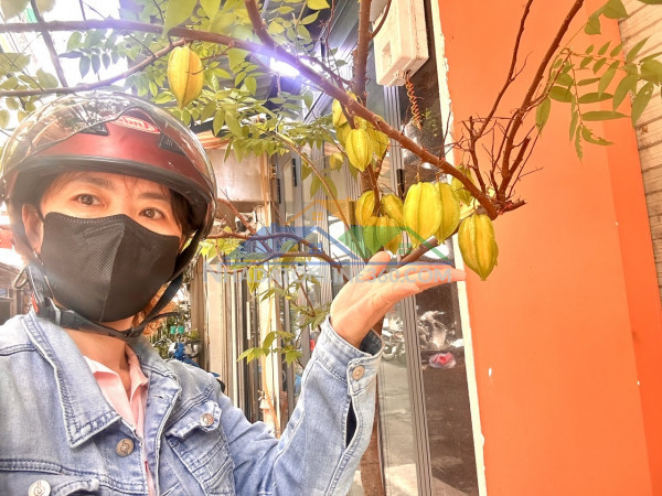 Bán nhà  đẹp 5 tầng- mặt tiền đ.sô-  dòng tiền 60 triệu mổi tháng- thông ra tân vĩnh- khánh hội- hoàng diệu- nguyễn tất thành.