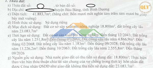 CHO THUÊ / BÁN NHÀ XƯỞNG TẠI BÀU BÀNG, BÌNH DƯƠNG – 41.883m²