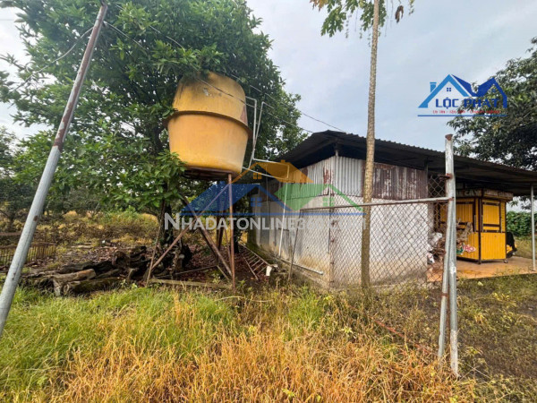 BÁN ĐẤT HƠN 8.000M² – MẶT TIỀN ĐƯỜNG DÀI 100M – GIÁ 6.9 TỶ THƯƠNG LƯỢNG