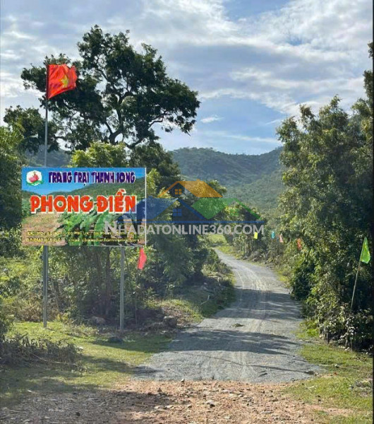Chính chủ cần tiền hạ giá bán trang trại 17.7 ha tại xã phú...