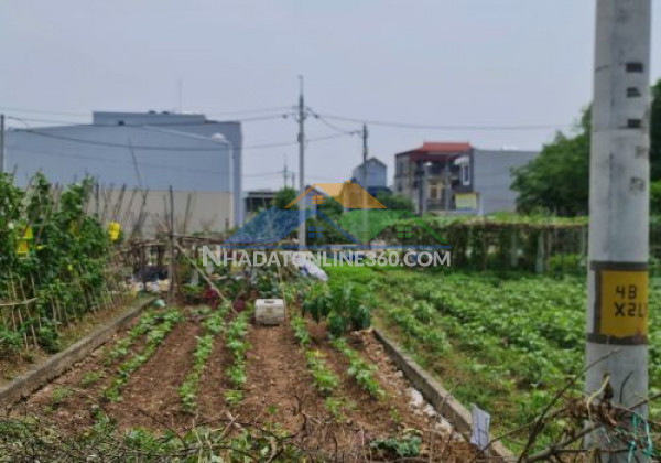 Lô đất hiếm lại yên, hoài đức – gần hồ, đường ô tô, phù hợp ở và đầu tư