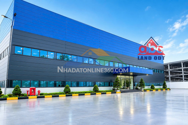 Xt207 cho thuê nhà xưởng sản xuất linh hoạt ngành nghề, thiết kế cao 18m phục vụ đa ngành