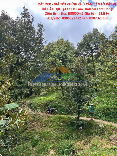 Đất đẹp - giá tốt chính chủ cần bán lô đất vị trí đắc địa tại xã hà lâm, đạhoai lâm đồng