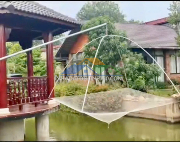 Cho thuê hoặc bán biệt thự nhà vườn mặt tiền đường long thuận