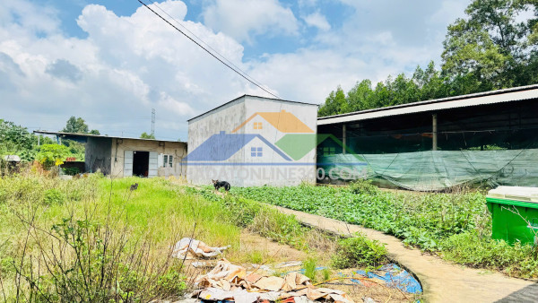 X128 bán nhà xưởng tại kcn giang điền, tiếp nhận linh hoạt ngành nghề, dn fdi, epe