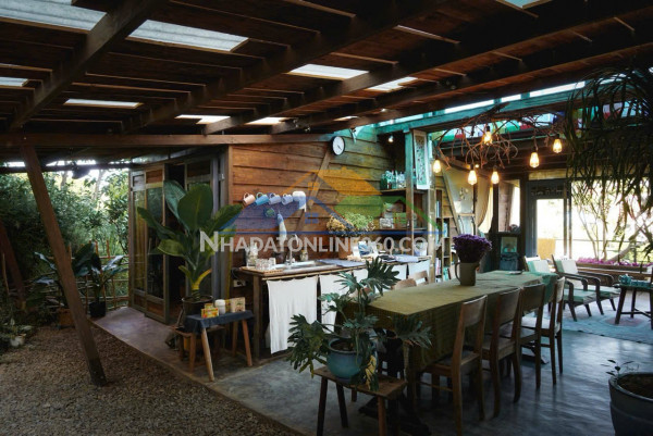 Cho thuê nhà siêu chill đường hoàng hoa thám giá chỉ 15 triệu...