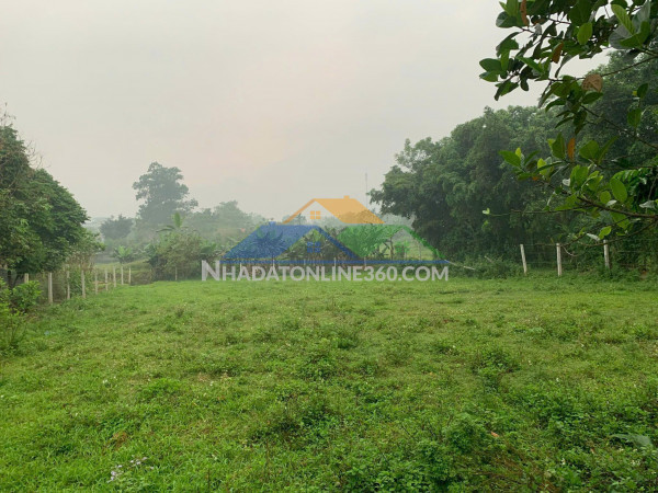Cần bán nhanh 1.100m² đất view đẹp tại ba vì - làm homestay, second home -7 tỷ