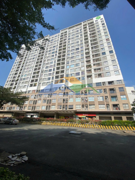 Bán chung cư novaland botanica premier novaland hồng hà