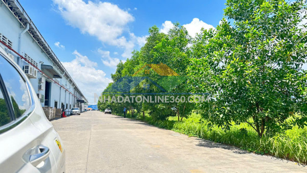 Xt218 nhà xưởng kiên cố, xưởng trống sẵn sàng bàn giao hoạt động lâu dài ổn định