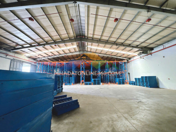 Xt219 cho thuê nhà xưởng kiên cố thích hợp linh hoạt ngành nghề, bàn giao sx liền