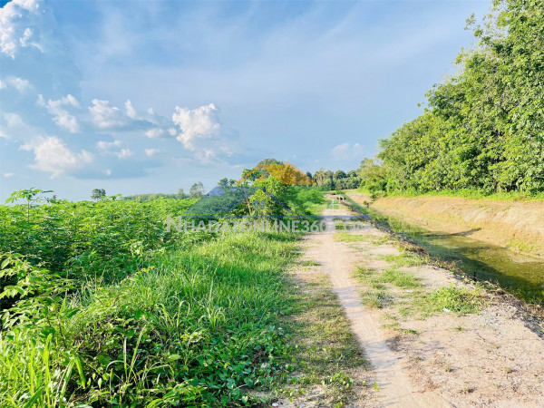 Đất đẹp – giá tốt – chính chủ cần bán 3,8ha quỹ đất vàng tại  xã phước đông, huyện gò dầu, tây ninh