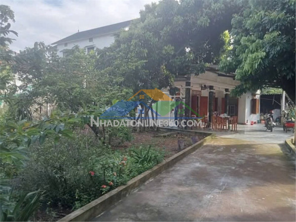Đất đẹp – giá tốt – chính chủ cần bán đất tại tdp 2, xã lệ ninh, huyện lệ thủy, tỉnh quảng bình