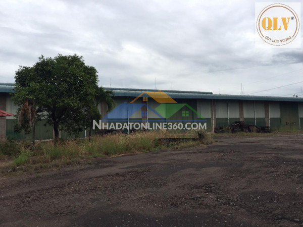Cho thuê xưởng – TP. Đồng Xoài, Bình Phước – 6.600m²