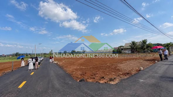 Villa phố mặt tiền ngô thì nhậm – ngang 8m, giá 12,5 tỷ