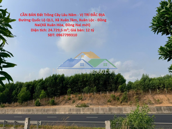 Cần bán đất trồng cây lâu năm - vị trí đắc địa đường quốc lộ ql1, xã xuân tâm, xuân lộc - đồng nai