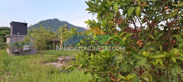 Đất đẹp – giá tốt - cần bán nhanh lô đất tại đường hương lộ 62, xã diên thọ,  diên khánh, khánh hòa