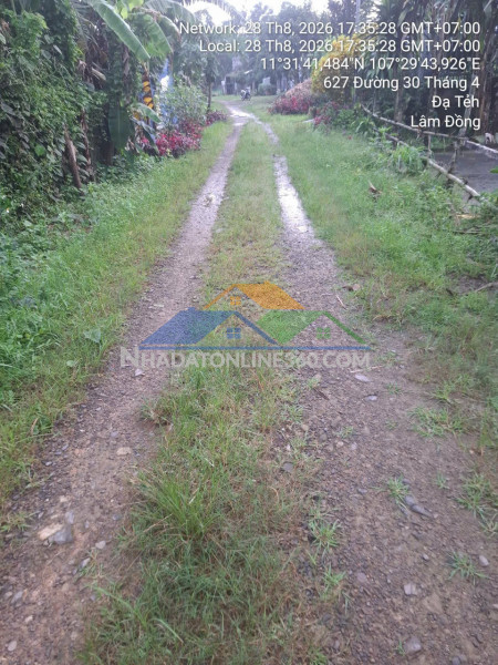 Quỹ đất hiếm – cần bán lô đất 300m², thị trấn đạ tẻh, huyện đạ tẻh, lâm đồng,