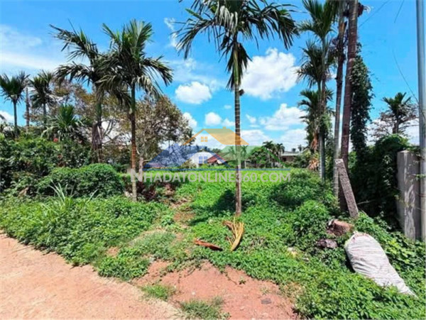 Đất đẹp – giá tốt - cần bán nhanh 2 lô đất mặt tiền tại xã ea kênh, huyện krông pắc, tỉnh đắk lắk